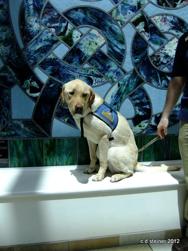 Einstein the graduate