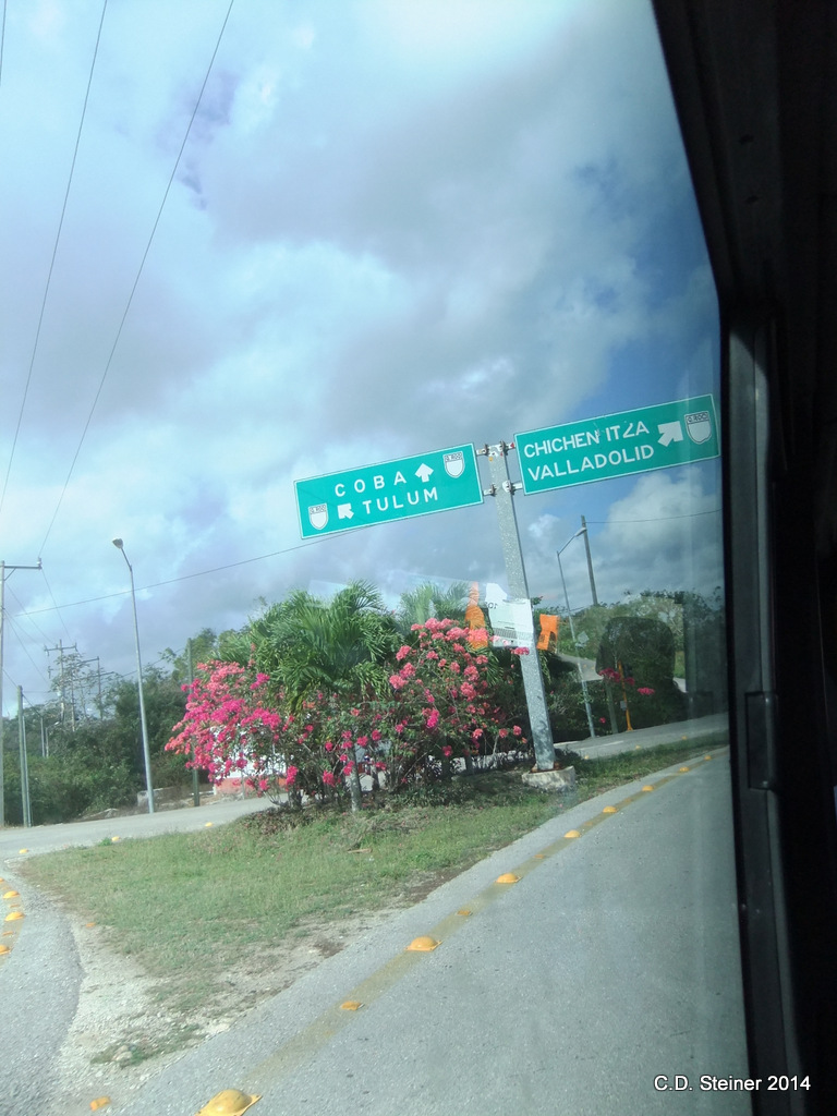 DSCF7856