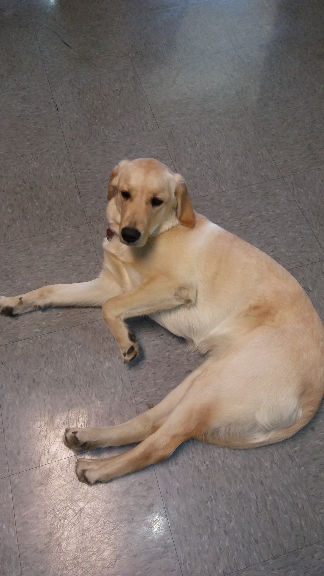 tmp_8815-20170310_0954411807544715